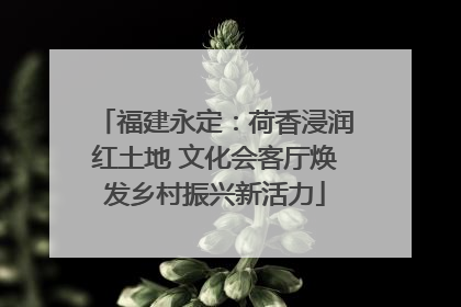 福建永定：荷香浸润红土地 文化会客厅焕发乡村振兴新活力