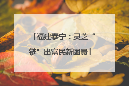福建泰宁：灵芝“链”出富民新图景