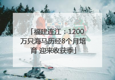 福建连江：1200万只海马历经8个月培育 迎来收获季