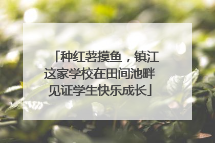 种红薯摸鱼，镇江这家学校在田间池畔见证学生快乐成长