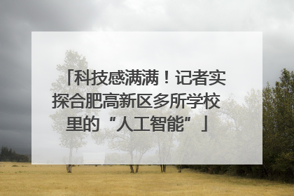 科技感满满！记者实探合肥高新区多所学校里的“人工智能”