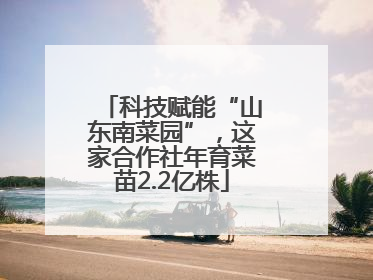 科技赋能“山东南菜园”，这家合作社年育菜苗2.2亿株