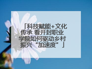 科技赋能+文化传承 看开封职业学院如何驱动乡村振兴“加速度”