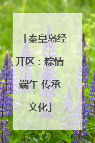 秦皇岛经开区：粽情端午 传承文化