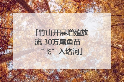 竹山开展增殖放流 30万尾鱼苗“飞”入堵河