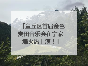 章丘区首届金色麦田音乐会在宁家埠火热上演！