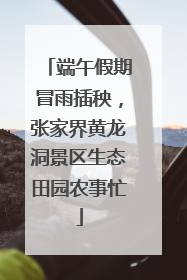 端午假期冒雨插秧，张家界黄龙洞景区生态田园农事忙