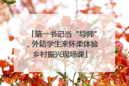 第一书记当“导师”，外籍学生来怀柔体验乡村振兴现场课