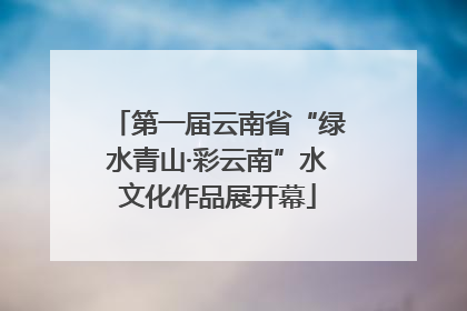 第一届云南省“绿水青山·彩云南”水文化作品展开幕