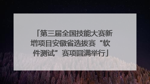 第三届全国技能大赛新增项目安徽省选拔赛“软件测试”赛项圆满举行