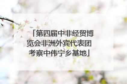 第四届中非经贸博览会非洲外宾代表团考察中伟宁乡基地
