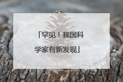 罕见！我国科学家有新发现