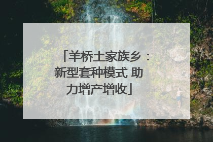 羊桥土家族乡：新型套种模式 助力增产增收