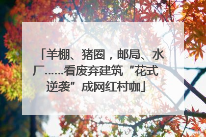 羊棚、猪圈,邮局、水厂……看废弃建筑“花式逆袭”成网红村咖