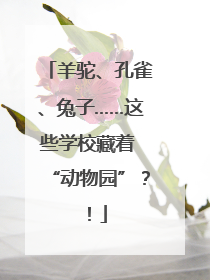 羊驼、孔雀、兔子……这些学校藏着 “动物园”？！
