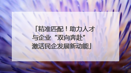 精准匹配！助力人才与企业“双向奔赴” 激活民企发展新动能