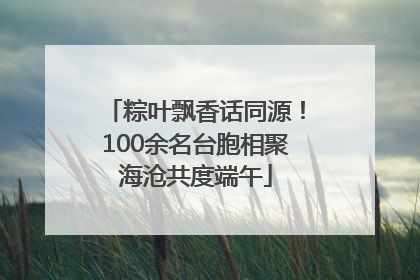 粽叶飘香话同源！100余名台胞相聚海沧共度端午