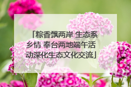 粽香飘两岸 生态系乡情 奉台两地端午活动深化生态文化交流
