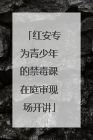 红安专为青少年的禁毒课在庭审现场开讲