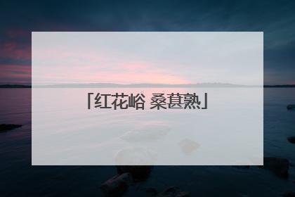 红花峪 桑葚熟