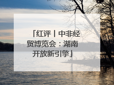 红评丨中非经贸博览会：湖南开放新引擎
