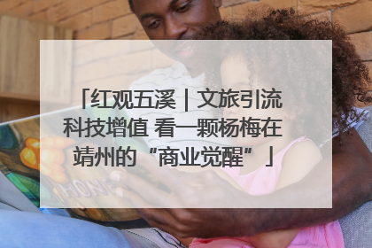 红观五溪｜文旅引流 科技增值 看一颗杨梅在靖州的“商业觉醒”