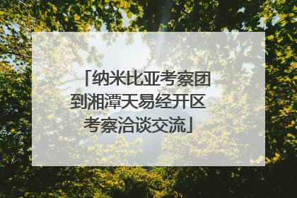 纳米比亚考察团到湘潭天易经开区考察洽谈交流
