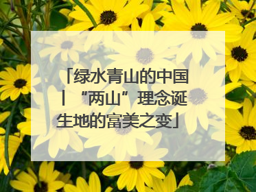 绿水青山的中国丨“两山”理念诞生地的富美之变