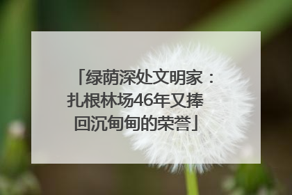 绿荫深处文明家：扎根林场46年又捧回沉甸甸的荣誉