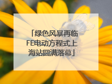 绿色风暴再临 FE电动方程式上海站圆满落幕