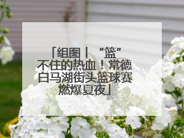 组图丨“篮” 不住的热血！常德白马湖街头篮球赛燃爆夏夜