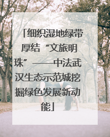 细织湿地绿带 厚结“文旅明珠”——中法武汉生态示范城挖掘绿色发展新动能
