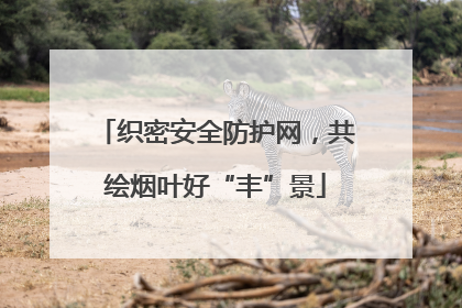 织密安全防护网，共绘烟叶好“丰”景