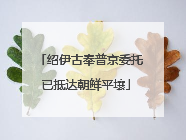 绍伊古奉普京委托已抵达朝鲜平壤