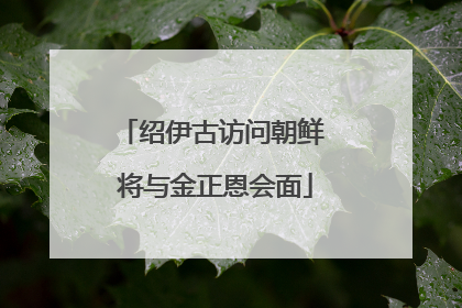 绍伊古访问朝鲜 将与金正恩会面