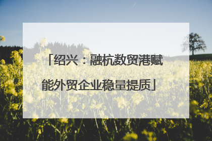 绍兴：融杭数贸港赋能外贸企业稳量提质