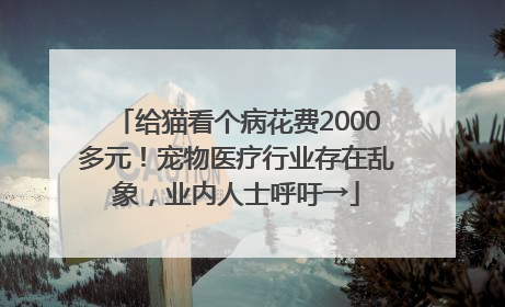给猫看个病花费2000多元！宠物医疗行业存在乱象，业内人士呼吁→