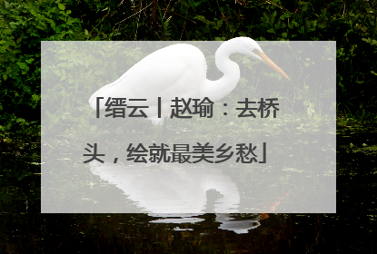 缙云丨赵瑜：去桥头，绘就最美乡愁