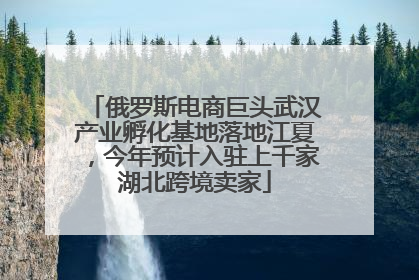 俄罗斯电商巨头武汉产业孵化基地落地江夏，今年预计入驻上千家湖北跨境卖家