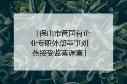 保山市管国有企业专职外部董事刘燕接受监察调查
