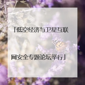 低空经济与卫星互联网安全专题论坛举行
