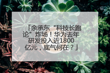 余承东“科技长跑论”炸场！华为去年研发投入近1800亿元，底气何在？