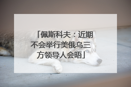 佩斯科夫：近期不会举行美俄乌三方领导人会晤