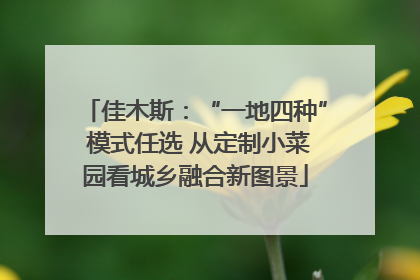 佳木斯：“一地四种” 模式任选 从定制小菜园看城乡融合新图景