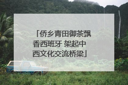 侨乡青田御茶飘香西班牙 架起中西文化交流桥梁