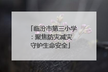 临汾市第三小学：聚焦防灾减灾 守护生命安全