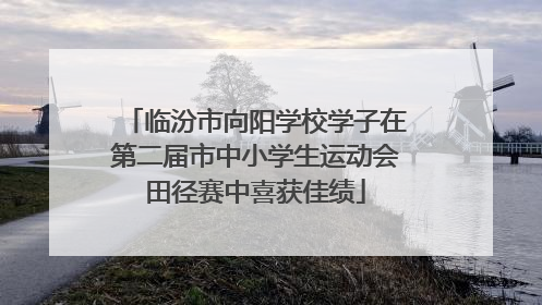 临汾市向阳学校学子在第二届市中小学生运动会田径赛中喜获佳绩