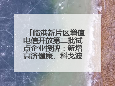 临港新片区增值电信开放第二批试点企业授牌：新增高济健康、科戈波特两家