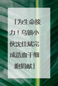 为生命接力！乌镇小伙沈佳斌完成造血干细胞捐献