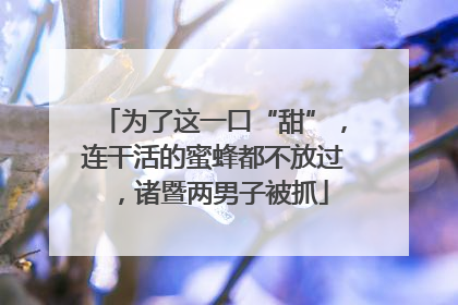 为了这一口“甜”，连干活的蜜蜂都不放过，诸暨两男子被抓